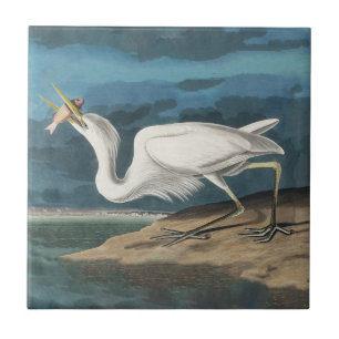 Grote Witte Heron Audubon Vogel Wildlife Painting Tegeltje