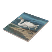 Grote Witte Heron Audubon Vogel Wildlife Painting Tegeltje (Zijkant)
