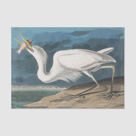 Grote Witte Heron Audubon Vogel Wildlife Painting Tissuepapier (Voorkant)