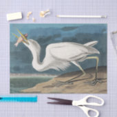 Grote Witte Heron Audubon Vogel Wildlife Painting Tissuepapier (Craft)