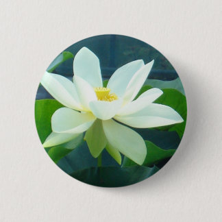 grote witte lib ronde button 5,7 cm
