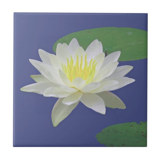 "GROTE WITTE LOTUS BLOSSOM": KERAMISCHE TIL/TRIVET TEGELTJE (Voorkant)
