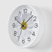 Grote witte madeliefje op wit (Hoek)