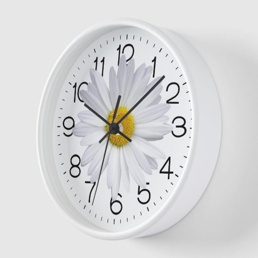 Grote witte madeliefje op wit (Hoek)