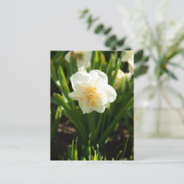 Grote witte narcissen op een lentedag briefkaart