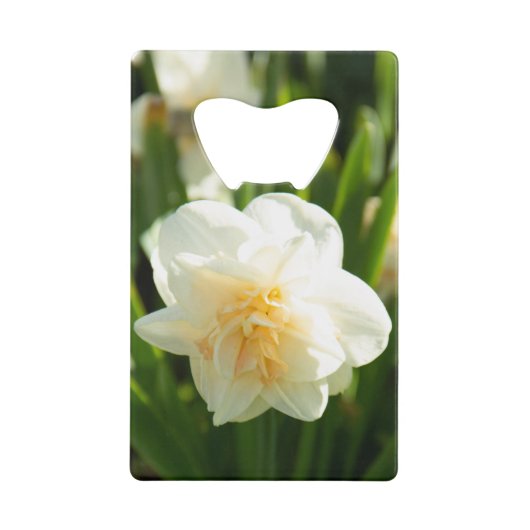 Grote witte narcissen op een lentedag   creditkaart flessenopener (Voorkant)