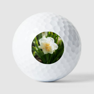 Grote witte narcissen op een lentedag  golfballen