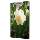 Grote witte narcissen op een lentedag   klembord (Links)