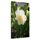 Grote witte narcissen op een lentedag   klembord (Rechts)