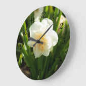 Grote witte narcissen op een lentedag klok (Hoek)