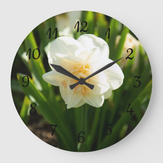 Grote witte narcissen op een lentedag klok (Voorkant)