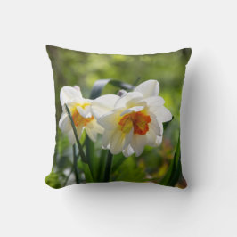Grote witte narcissen op een lentedag kussen