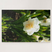 Grote witte narcissen op een lentedag legpuzzel (Horizontaal)