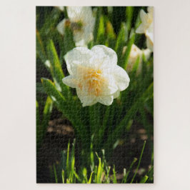 Grote witte narcissen op een lentedag  legpuzzel