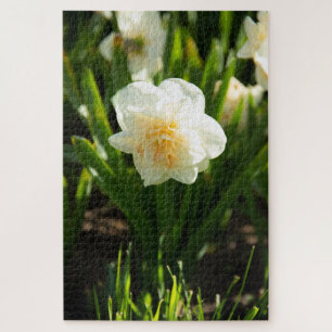 Grote witte narcissen op een lentedag legpuzzel