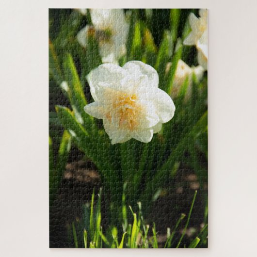Grote witte narcissen op een lentedag legpuzzel (Verticaal)