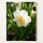 Grote witte narcissen op een lentedag    planner (Achterkant)