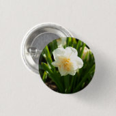 Grote witte narcissen op een lentedag   ronde button 3,2 cm (Voorkant /achterkant)