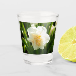 Grote witte narcissen op een lentedag shot glas