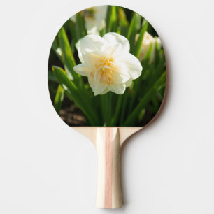 Grote witte narcissen op een lentedag tafeltennisbatje