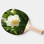 Grote witte narcissen op een lentedag  tafeltennisbatje (Zijkant)