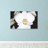 grote witte orchidee bloei canvas print (Insitu (Houten vloer))