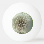 Grote Witte Paardenbloem Pingpongbal (Voorkant)
