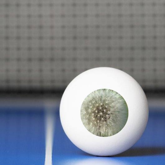 Grote Witte Paardenbloem Pingpongbal (Net)