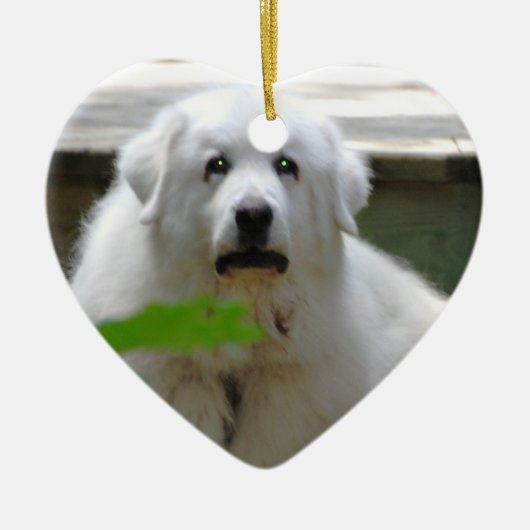Grote witte Pyreneeën Dog Ornament (Voorkant)