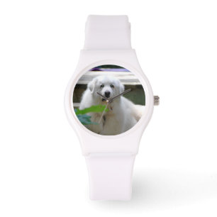 Grote witte Pyreneeën hond Horloge