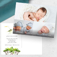 Grote witte reiger 4 foto geboorte aankondigingen