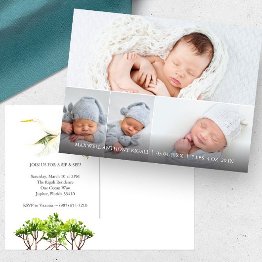 Grote witte reiger 4 foto geboorte aankondigingen