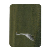 Grote witte reiger Flexibele fotomagneet Magneet (Verticaal)