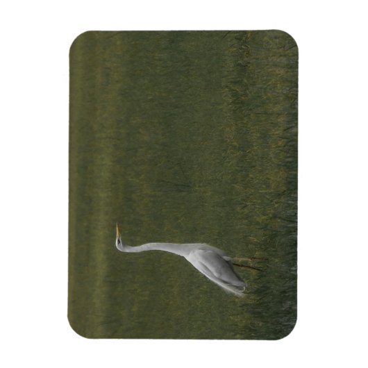 Grote witte reiger Flexibele fotomagneet Magneet (Verticaal)