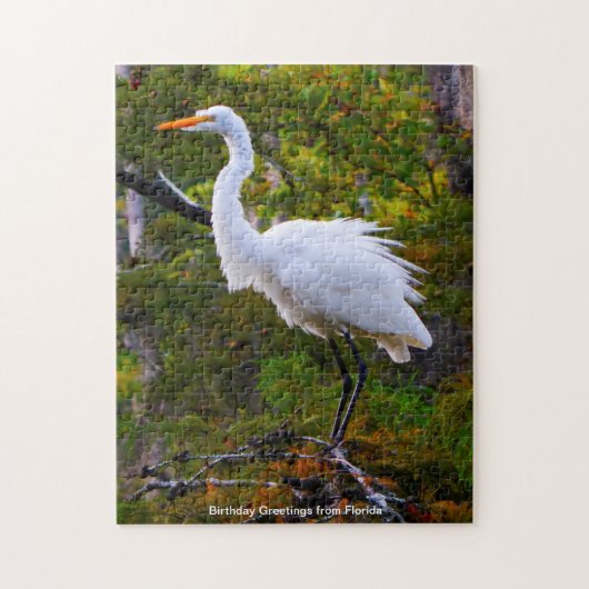 Grote Witte Reiger Florida Legpuzzel (Verticaal)