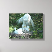 Grote witte reiger nestelt canvas afdruk (Voorkant)