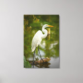Grote witte reiger op een log Natuur fotografie Canvas Afdruk (Voorkant)