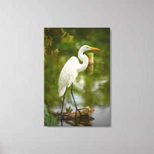 Grote witte reiger op een log Natuur fotografie Canvas Afdruk