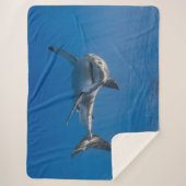 GROTE WITTE SHARK SHERPA DEKEN (Voorkant)