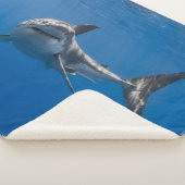 GROTE WITTE SHARK SHERPA DEKEN (3/4)