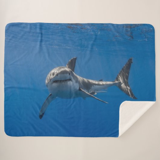 GROTE WITTE SHARK SHERPA DEKEN (Voorkant (horizontaal))