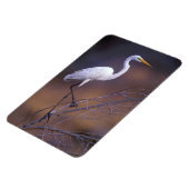 Grote witte vlek magneet (Linkerzijde)