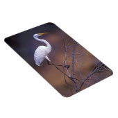 Grote witte vlek magneet (Rechterzijde)