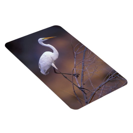 Grote witte vlek magneet (Rechterzijde)