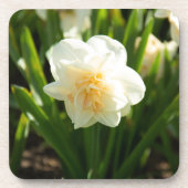 Grote witte vlekken op een lentedag bier onderzetter (Voorkant)