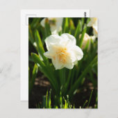 Grote witte vlekken op een lentedag briefkaart (Voorkant / Achterkant)