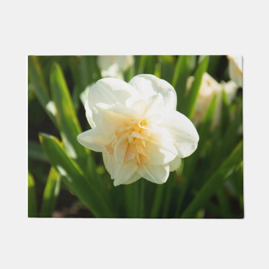 Grote witte vlekken op een lentedag deurmat (Voorkant)