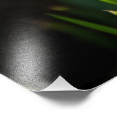 Grote witte vlekken op een lentedag foto afdruk (Hoek)