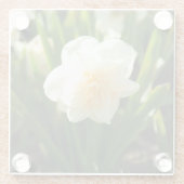 Grote witte vlekken op een lentedag glazen onderzetter (Achterkant)