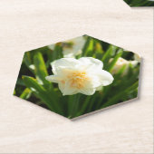 Grote witte vlekken op een lentedag kartonnen onderzetters (Schuin)